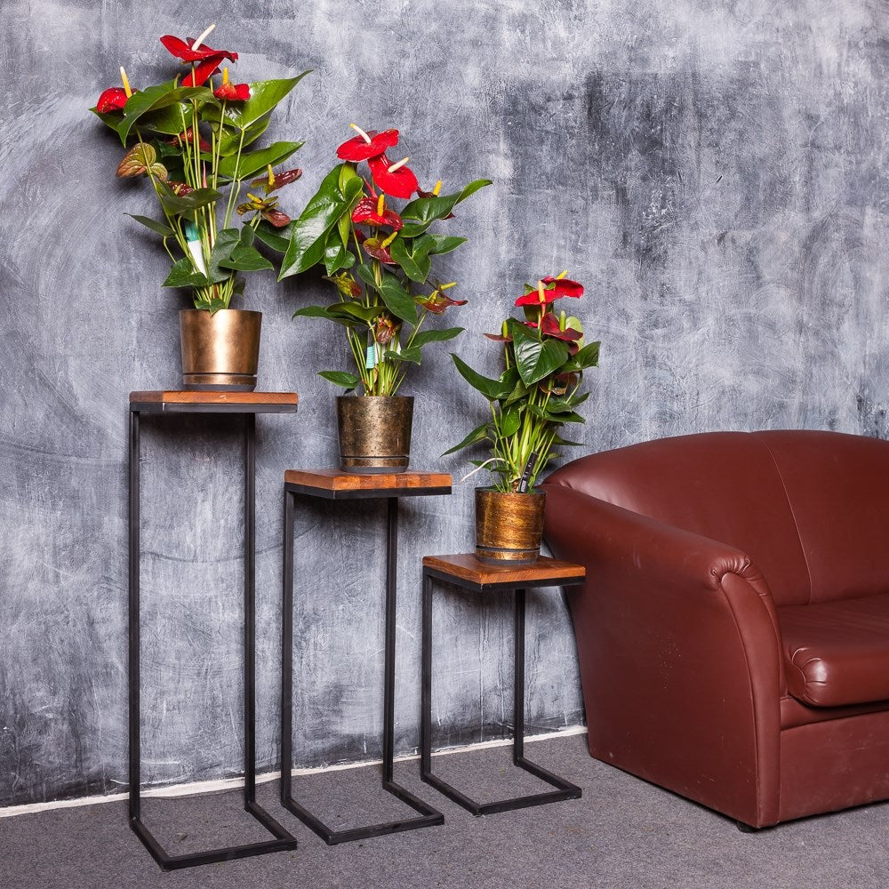 Fireplace Rack & Metal Flower Pot