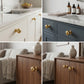 Solid Brass Round Cabinet Drawer Knob