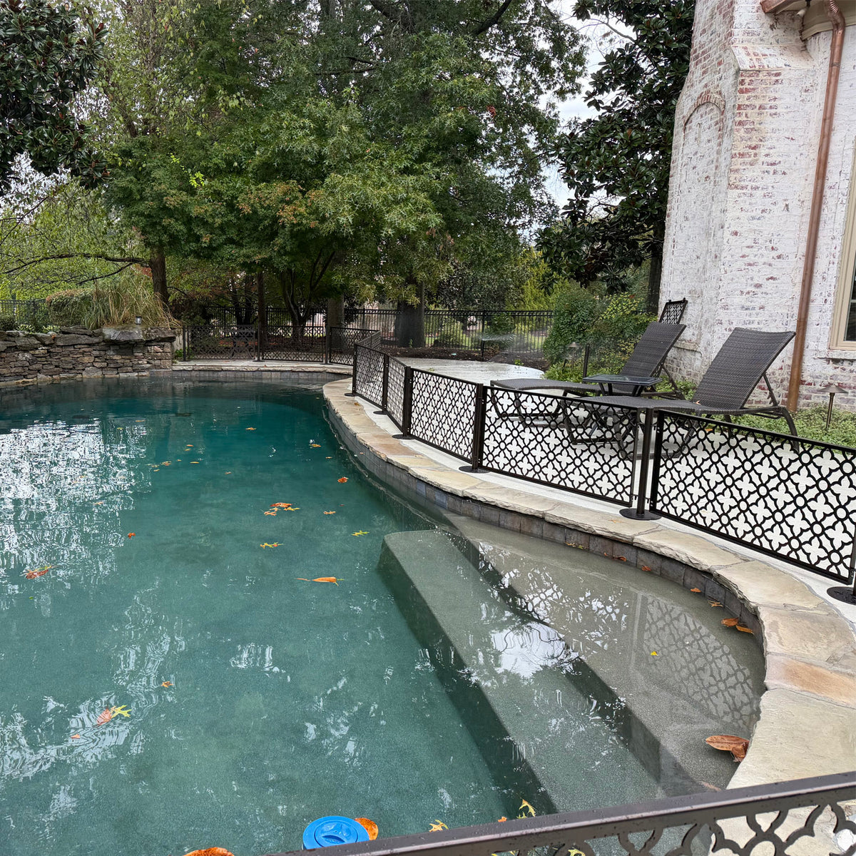 Removable dog pool fence following the curved edge of a freeform pool along the pool steps, separating the water from the lounge chair area